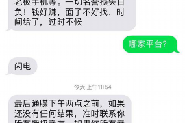 兴县贷款清欠服务